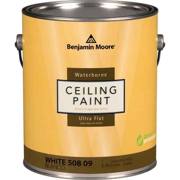 Benjamin Moore Paint Supplies & Tools in Paint 